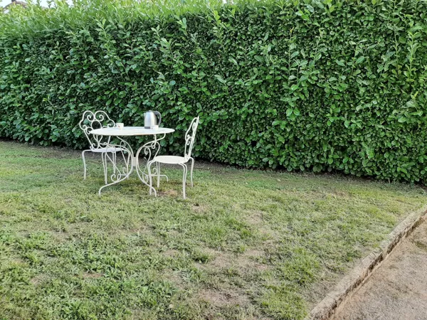 Jean-Pascal Delagne, Prorpriétaire Delagne