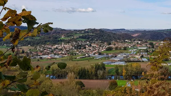 Jean-Pascal Delagne, Prorpriétaire Delagne