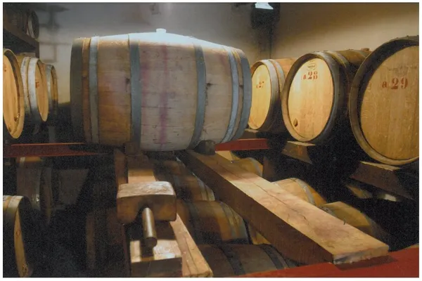 La route des vins - Entraygues-sur-Truyère - Le Fel, 