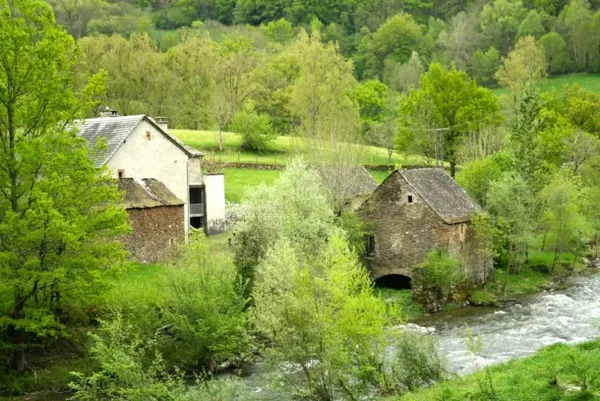 Moulin de Chipole (groupes), 
