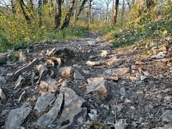 Trail d'Aqui - Bozouls, OT Terres d'Aveyron