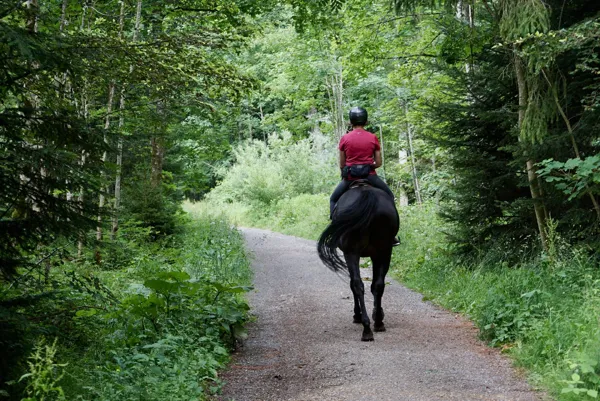 Stages au centre équestre de la Muse - Balade poney