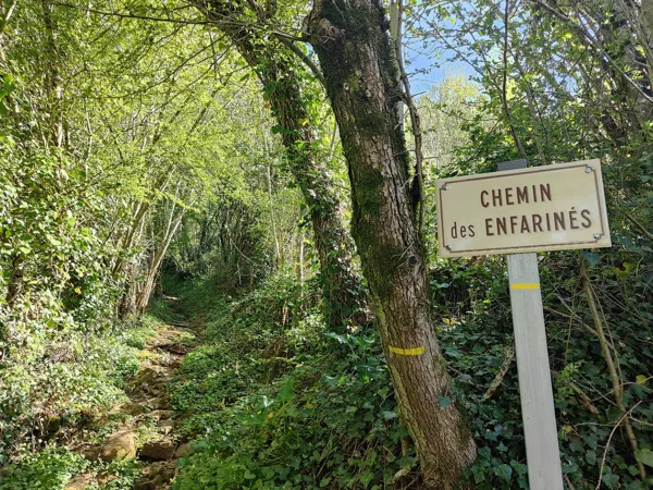 Trail d'Aqui - Villecomtal, OT Terres d'Aveyron
