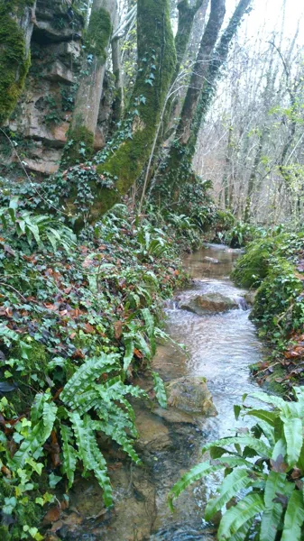 Trail d'Aqui - Rodelle, OT Terres d'Aveyron