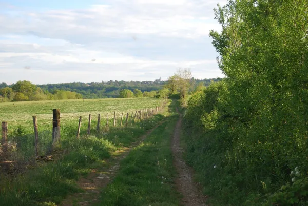 Trail d'Aqui - Rodelle, OT Terres d'Aveyron