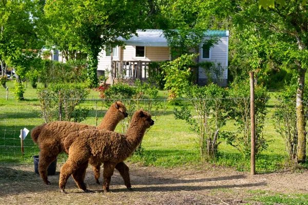, camping le plô Aveyron