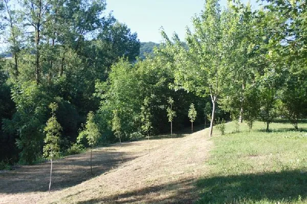 CAMPING MUNICIPAL LA GRAVE (groupes), OFFICE DE TOURISME INTERCANTONAL SAINT GENIEZ  / CAMPAGNAC