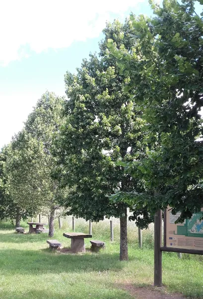 Aire de pique-nique du Laux, OFFICE DE TOURISME CANTONAL DE SAINT AMANS DES COTS