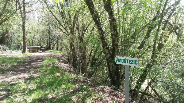 Aire de pique-nique du Pic du Castel, OFFICE DE TOURISME CANTONAL DE SAINT AMANS DES COTS