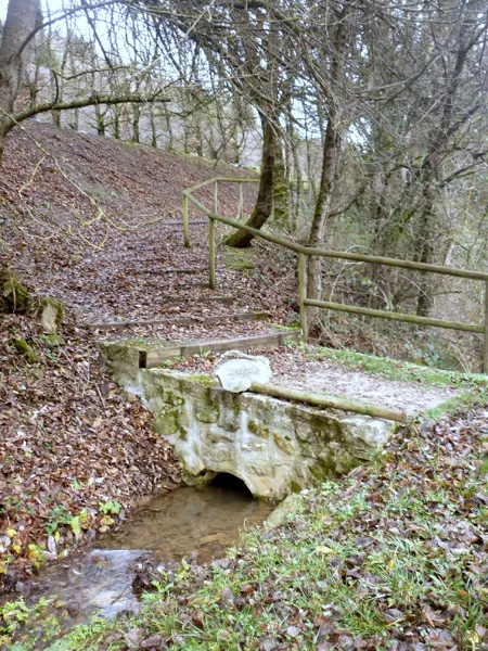 Aire de pique-nique aux Sources de l'Aveyron, Office de Tourisme des Causses à l'Aubrac