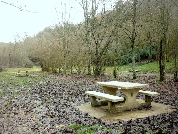 Aire de pique-nique aux Sources de l'Aveyron, Office de Tourisme des Causses à l'Aubrac