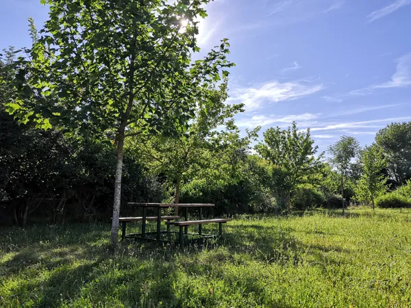 Aires de pique-nique de Tournemire, ROQUEFORT TOURISME