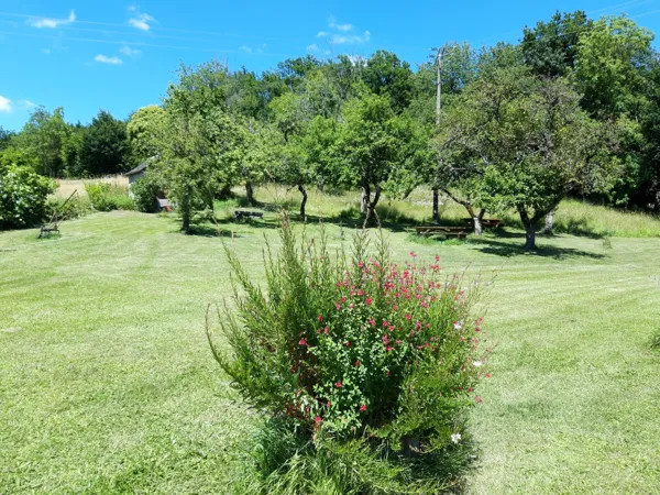 Aire de pique-nique de Saint-Salvadou, OFFICE DE TOURISME AVEYRON SEGALA