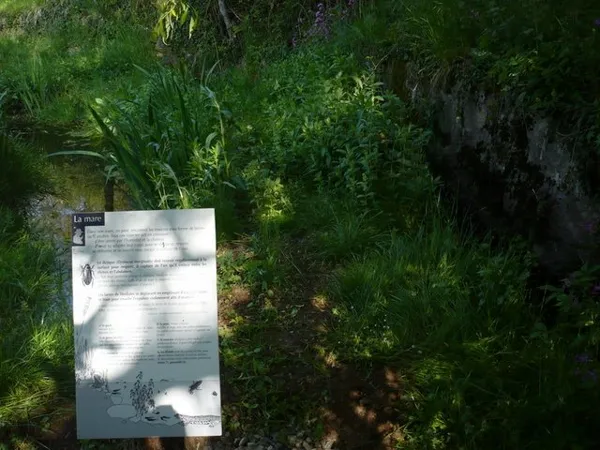 Aire de pique-nique du jardin d'insectes, OFFICE DE TOURISME DE PARELOUP LEVEZOU