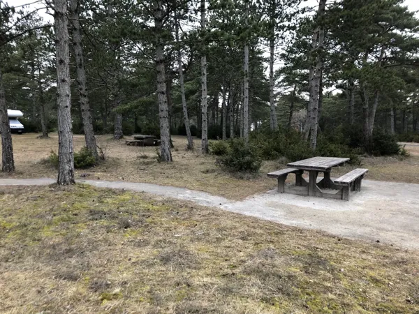 Aire de pique-nique du Cade, OFFICE DE TOURISME DE MILLAU