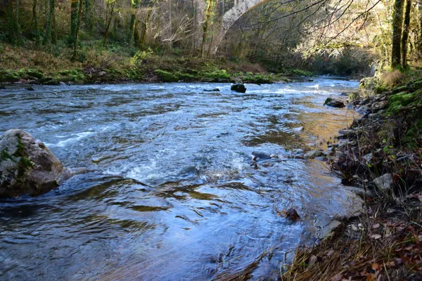L'Aveyron au Pont de Vézis, Fédération de pêche de l'Aveyron