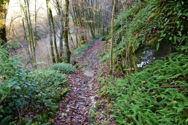 L'Aveyron au Pont de Vézis, Fédération de pêche de l'Aveyron