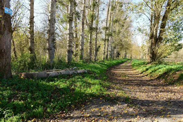 L'Aveyron la plaine du Pesquié, Fédération de pêche de l'Aveyron