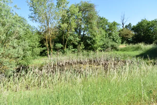 Aire de pique-nique, OFFICE DE TOURISME LARZAC VALLEES