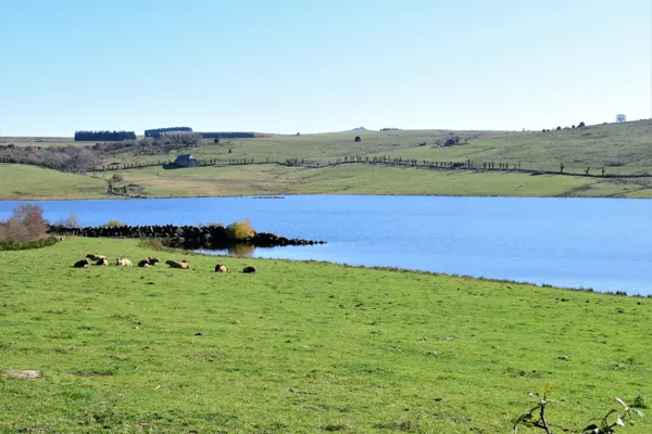 Lac des Chèvres, Fédération de pêche de l'Aveyron