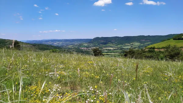 Aire de pique-nique des 4 routes, OFFICE DE TOURISME LARZAC VALLEES
