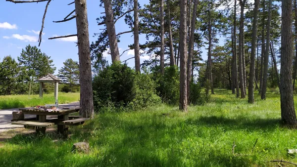 Aire de pique-nique du bois de la Douzette, OFFICE DE TOURISME LARZAC VALLEES