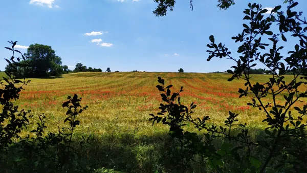 Aire de pique-nique de Massergues, OFFICE DE TOURISME LARZAC VALLEES