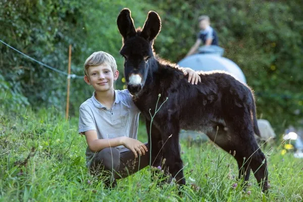 Les Ânesses du Jaoul, les Anesses du Jaoul