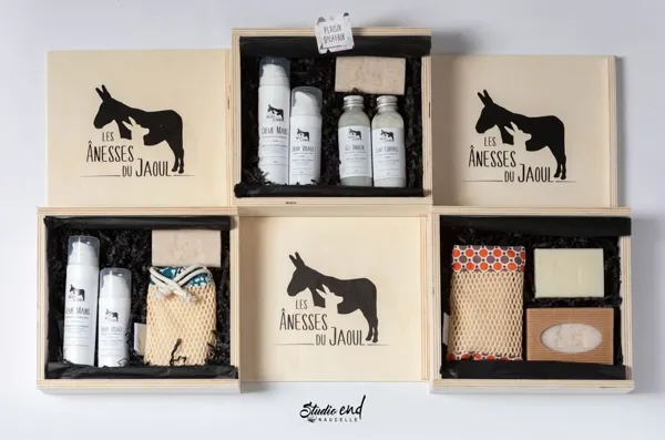 Les Ânesses du Jaoul, les Anesses du Jaoul