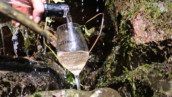 Domaine de Bias, Domaine de Bias