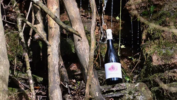 Domaine de Bias, Domaine de Bias