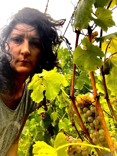 Domaine de Bias, Domaine de Bias