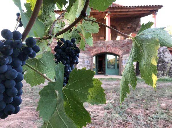 Domaine de Bias, Domaine de Bias