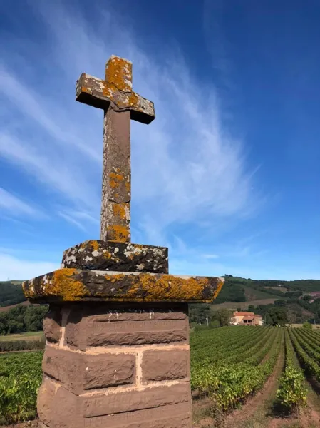 Domaine de Bias, Domaine de Bias