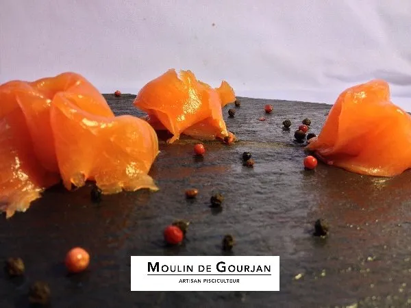 Pisciculture le Moulin de Gourjan, OFFICE DE TOURISME de CONQUES-MARCILLAC