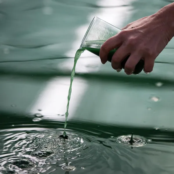 EARL Spiruline des Grands Causses, OFFICE DE TOURISME DU PAYS DE ROQUEFORT ET DU ST-AFFRICAIN
