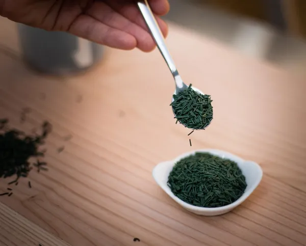 EARL Spiruline des Grands Causses, OFFICE DE TOURISME DU PAYS DE ROQUEFORT ET DU ST-AFFRICAIN