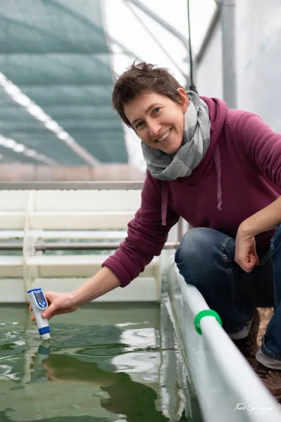 EARL Spiruline des Grands Causses, OT Roquefort