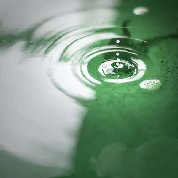 EARL Spiruline des Grands Causses, OT Roquefort