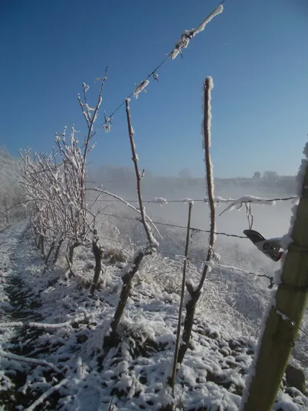 Domaine du Val Enchanté, 