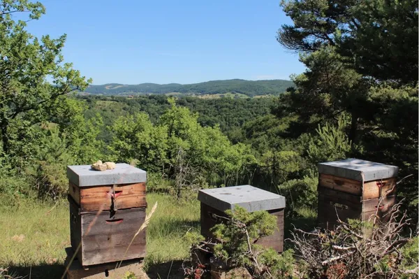 Miellerie du Val de Serre, 
