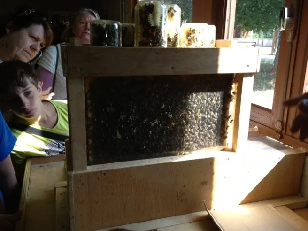 MIELLERIE DU VAL DE SERRE, OFFICE DE TOURISME INTERCANTONAL SAINT GENIEZ  / CAMPAGNAC