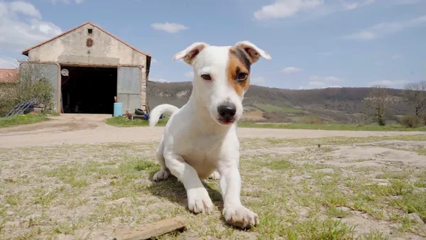 Ferme Brasserie La Caussenarde, Ferme Brasserie La Caussenarde
