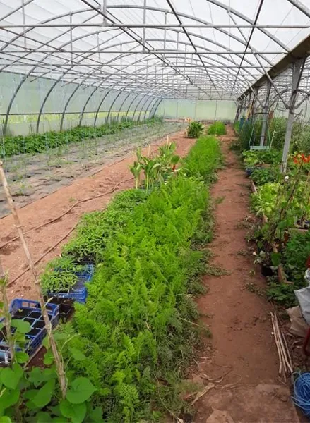 Au potager du Dourdou, ROQUEFORT TOURISME