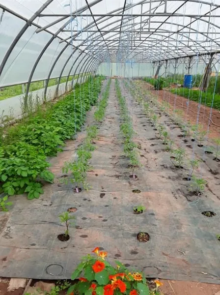 Au potager du Dourdou, ROQUEFORT TOURISME