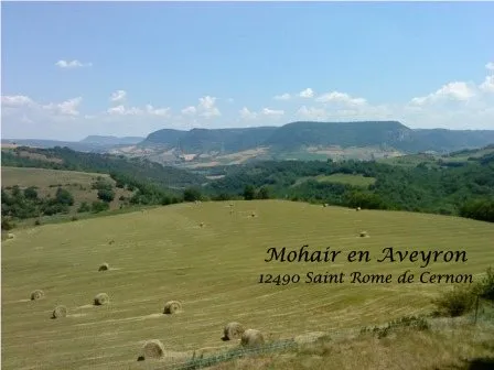 Mohair en Aveyron - Paysage de l'exploitation, Mohair en Aveyron