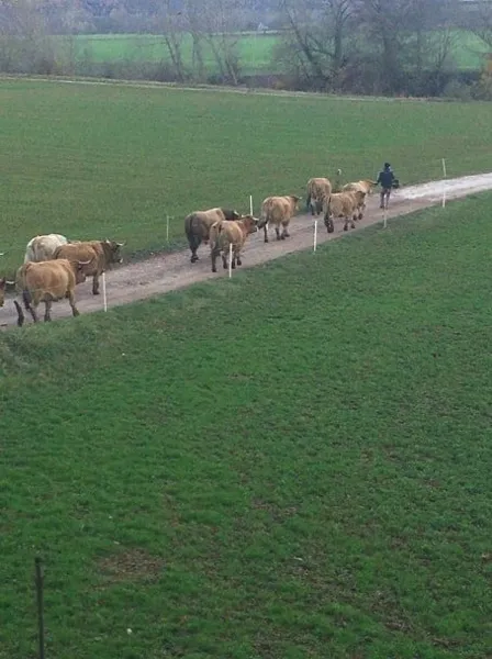 GAEC de Saint-Felix, OFFICE DE TOURISME DU PAYS DE ROQUEFORT ET DU ST-AFFRICAIN
