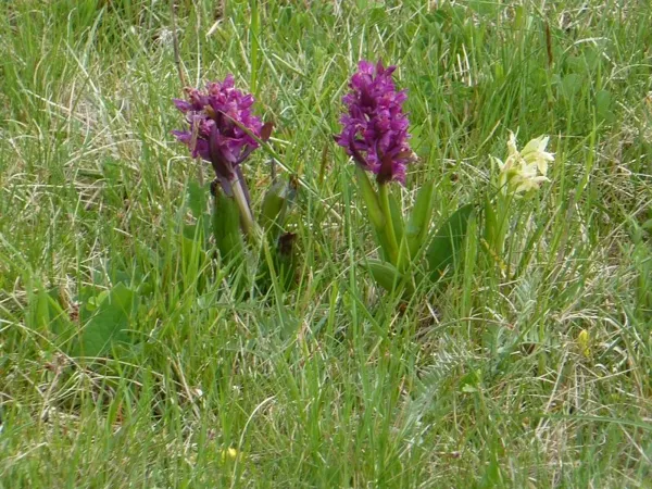 Randonnée : de Mur-de-Barrez à Thérondels (et retour), OFFICE DE TOURISME DU CANTON DE MUR DE BARREZ