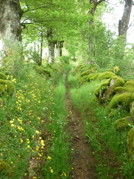 Randonnée : de Mur-de-Barrez à Thérondels (et retour), OFFICE DE TOURISME DU CANTON DE MUR DE BARREZ