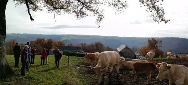 Pays' en Direct vos producteurs de saveurs, OFFICE DE TOURISME DU GRAND RODEZ